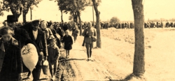 Człowiek na wojnie i wojna w człowieku – migracje Polaków w latach 1939–1949